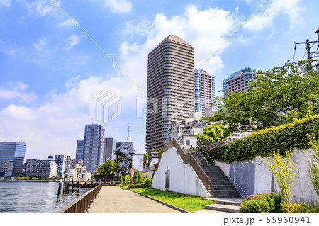 隅田川(夏) 隅田川(夏) 55960941