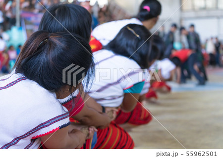 イフガオ族　祭り　綱引き 55962501