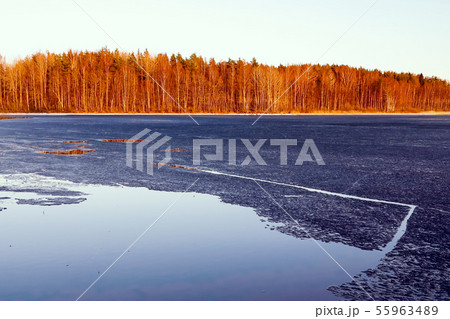 Beautiful autumn landscape. The first ice on a forest lake in the sunset 55963489