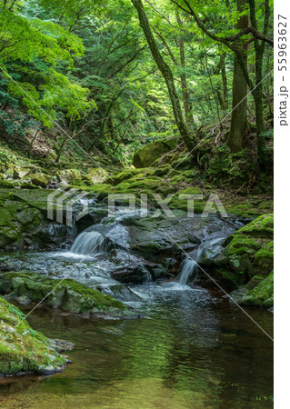三重県　赤目四十八滝 55963627