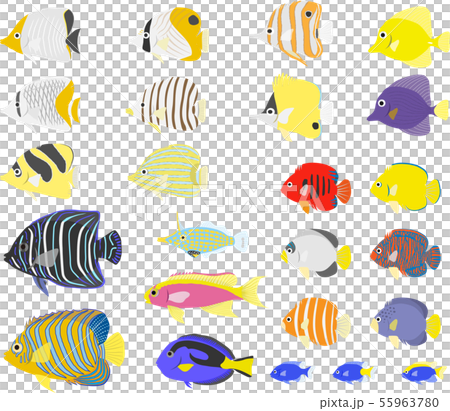鹹水魚套 鹹水魚套 55963780
