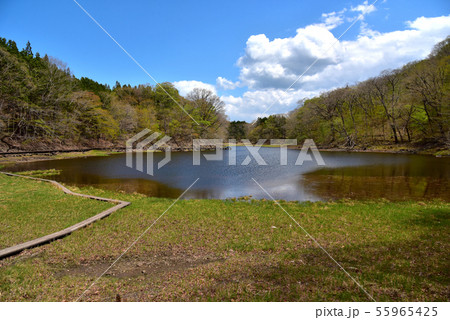 奥塩原 大沼 奥塩原 大沼 55965425