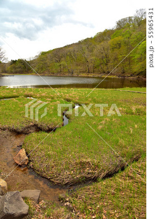 奥塩原　大沼 55965431