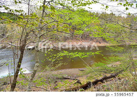 奥塩原 大沼 奥塩原 大沼 55965457