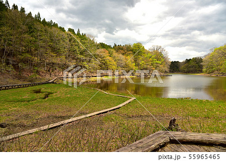 奥塩原 大沼 奥塩原 大沼 55965465