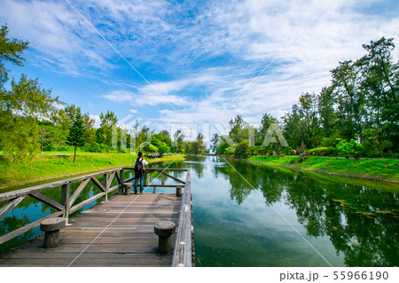 アジア人 アジアン アジア風 55966190