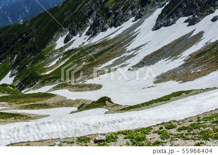 立山の雪渓 55966404