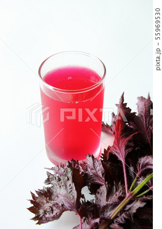 しそジュース しそジュース 55969530