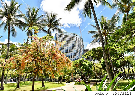 ハワイの休日 55973111