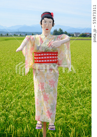 かかし／案山子【石川県能美市 大長野かかし街道】 55973311