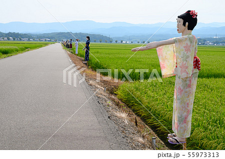 かかし／案山子【石川県能美市 大長野かかし街道】 55973313
