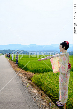 かかし／案山子【石川県能美市 大長野かかし街道】 55973314