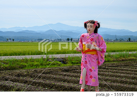 かかし/案山子【石川県能美市 大長野かかし街道】 かかし/案山子【石川県能美市 大長野かかし街道】 55973319