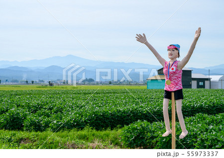 かかし／案山子【石川県能美市 大長野かかし街道】 55973337