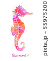 seahorse ポストカード  ピンク 55975200