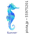seahorse ポストカード  ブルー 55975201