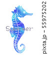 seahorse ポストカード  aqua 55975202