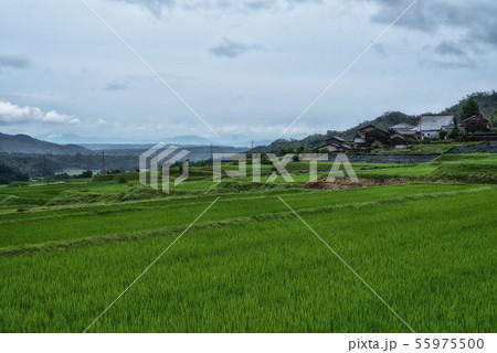 田園風景 田園風景 55975500