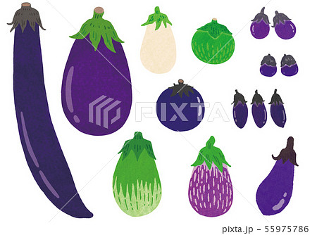 なす詰め合わせ Eggplantsのイラスト素材