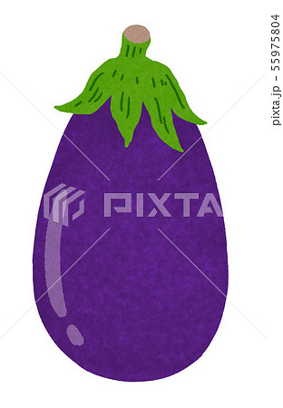 米なす Eggplantのイラスト素材