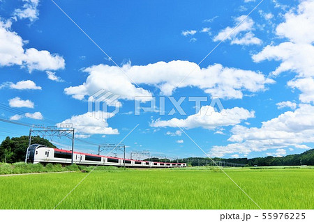 千葉県　夏の青空と田んぼを走る成田エクスプレス 55976225