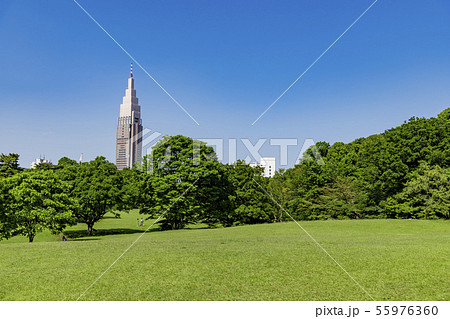 【芝生公園】 55976360