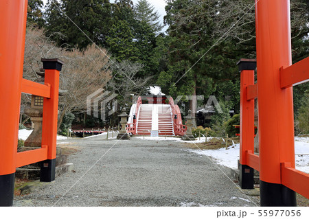 冬の丹生都比売神社の写真素材