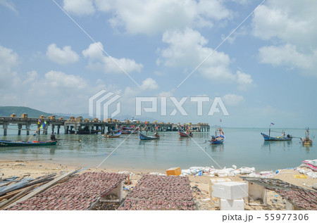 サムイ島の魚市場 55977306