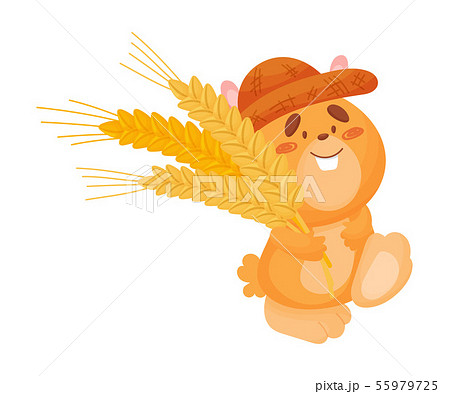Cartoon hamster with ears of wheat. Vector illustration on white background. 55979725