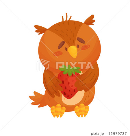 Cartoon owl with strawberries. Vector illustration on white background. 55979727