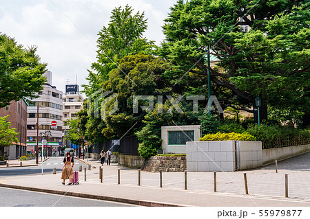 早稲田大学　正門 55979877