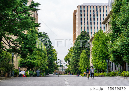 早稲田大学　正門 55979879