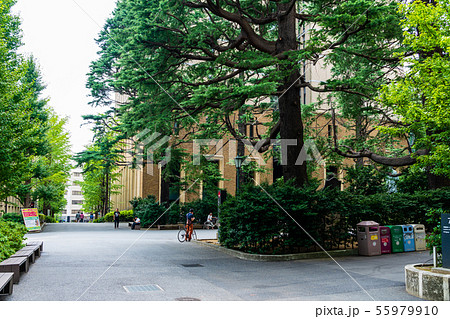 早稲田大学　キャンパス 55979910