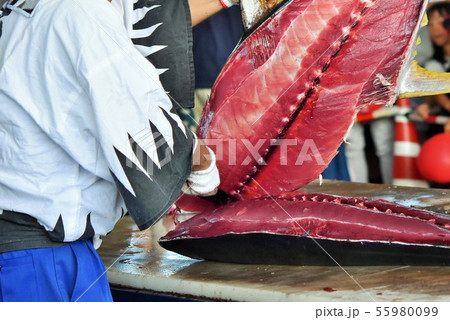 マグロの解体ショー 阿久根市　鹿児島県　素材　背景 55980099