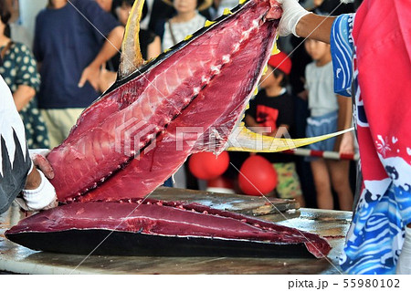 マグロの解体ショー 阿久根市　鹿児島県　sdgs サスティナブル　フードロス 55980102