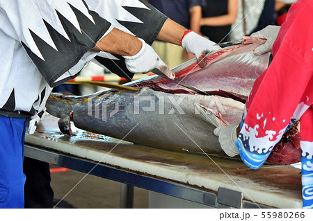 マグロの解体ショー 阿久根市 鹿児島県 sdgs サステイナブル フードロス 食料危機 マグロの解体ショー 阿久根市 鹿児島県 sdgs サステイナブル フードロス 食料危機 55980266