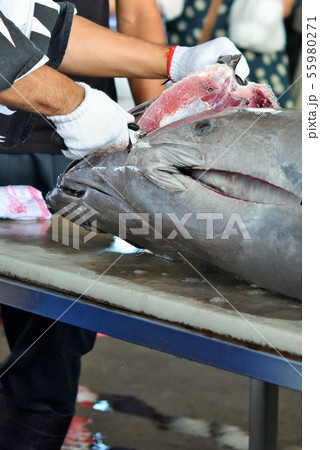 マグロの解体ショー 素材 背景 阿久根市 鹿児島県 マグロの解体ショー 素材 背景 阿久根市 鹿児島県 55980271