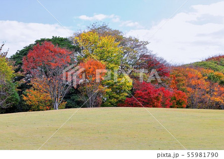 紅葉の金沢城公園 55981790