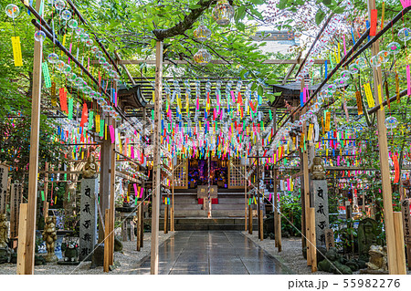 如意輪寺 風鈴まつり 如意輪寺 風鈴まつり 55982276