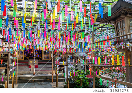 如意輪寺 風鈴まつり 55982278