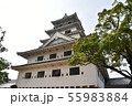 今治城（天守閣） 55983884