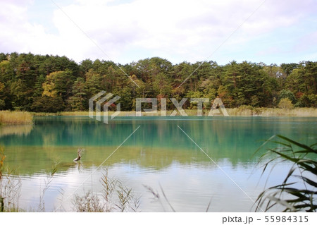 秋の五色沼 55984315