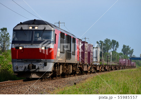 室蘭本線を行くDF200-63コンテナ貨物列車 55985557