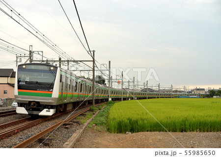 宇都宮線を走るE233系快速電車 宇都宮線を走るE233系快速電車 55985650