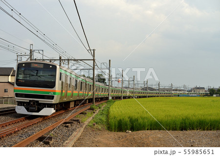 宇都宮線を走るE231系快速電車 宇都宮線を走るE231系快速電車 55985651