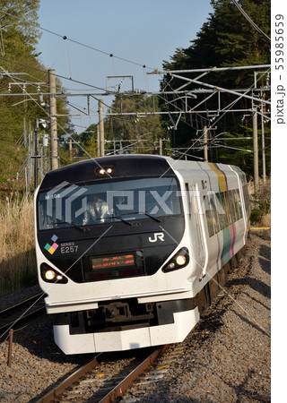 中央東線を走るE257系特急あずさ号 中央東線を走るE257系特急あずさ号 55985659