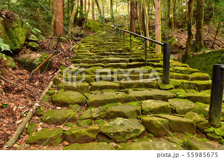 石馬寺参道 55985675