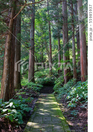 栗尾山満願寺:参道 安曇野市 栗尾山満願寺:参道 安曇野市 55985937