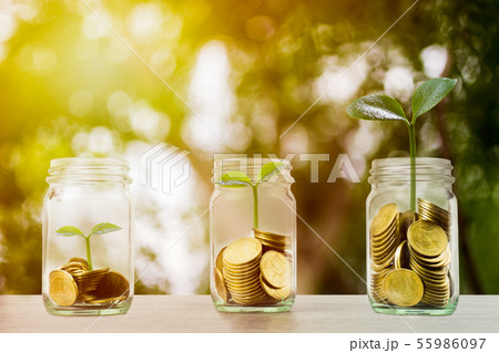 Making money and money investment concept. A stack 55986097