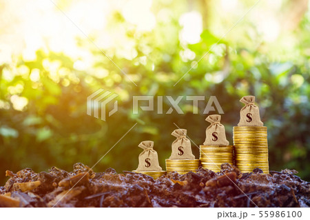 Making money and money investment concept. A money 55986100